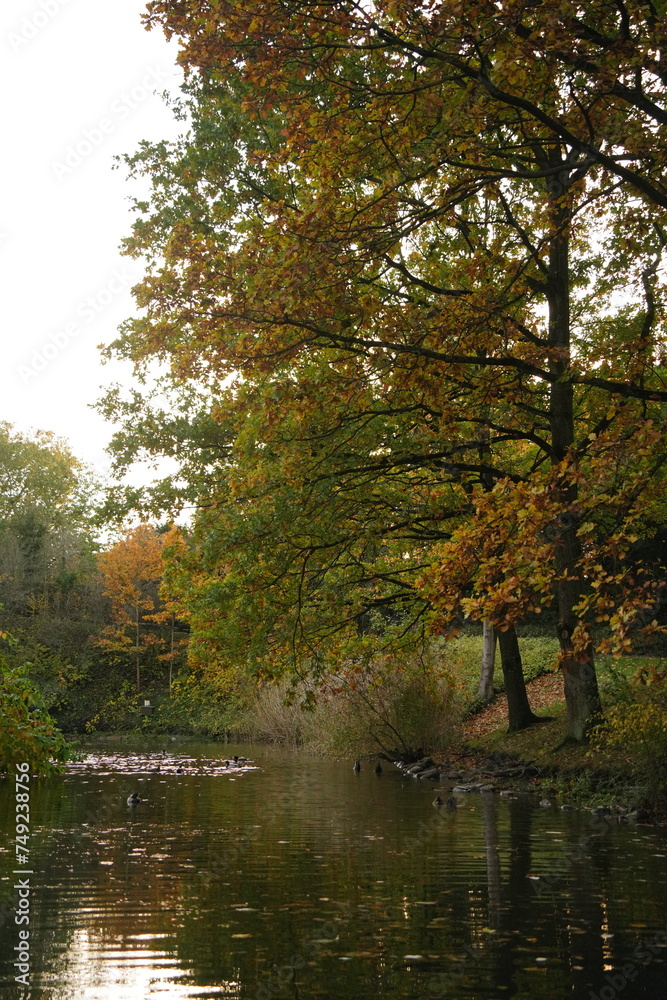 Vibrant and tranquil nature in Denmark Vibrant and tranquil nature in Denmark