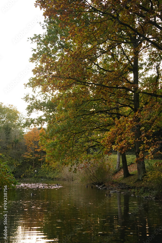 Vibrant and tranquil nature in Denmark