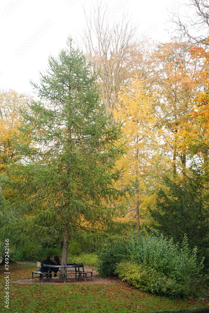 Naklejka premium Vibrant and tranquil nature in Denmark