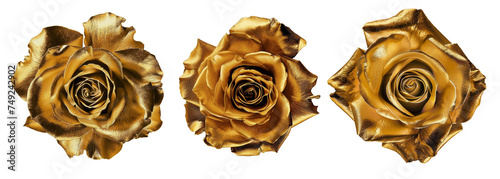 Set gold flower on a white background