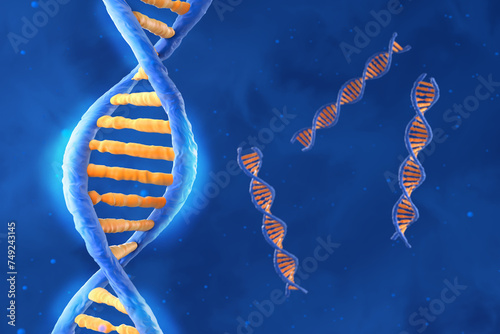 DNA molecule with the double polynucleotide spiral - isometric view 3d illustration photo