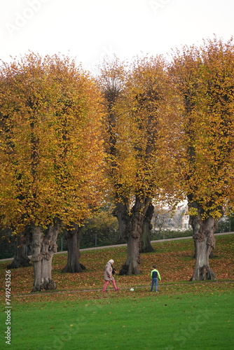 Photography Vibrant and tranquil nature in Denmark