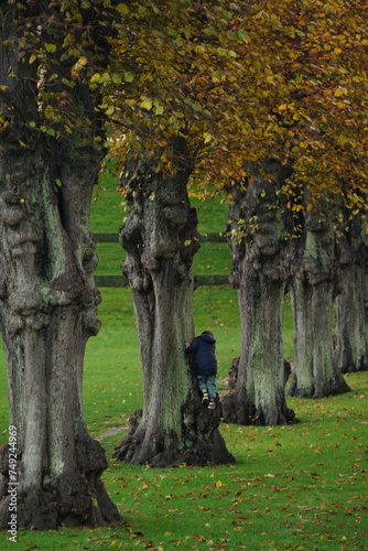 Photography Vibrant and tranquil nature in Denmark