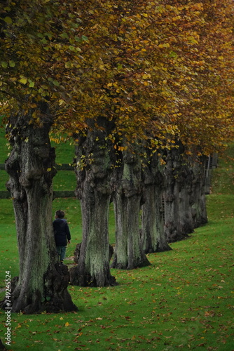 Photography Vibrant and tranquil nature in Denmark