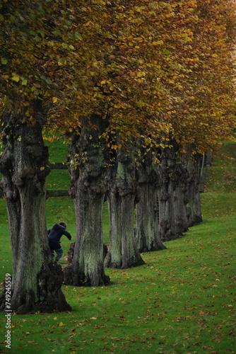 Photography Vibrant and tranquil nature in Denmark