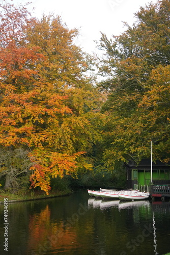 Photography Vibrant and tranquil nature in Denmark