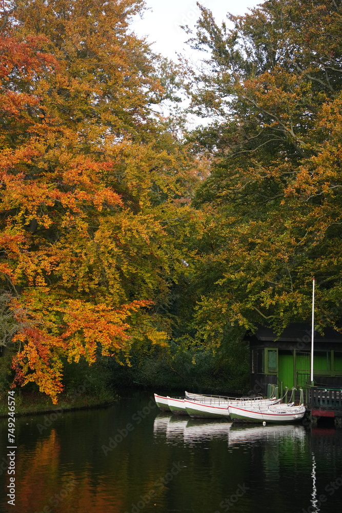 Fototapeta premium Vibrant and tranquil nature in Denmark