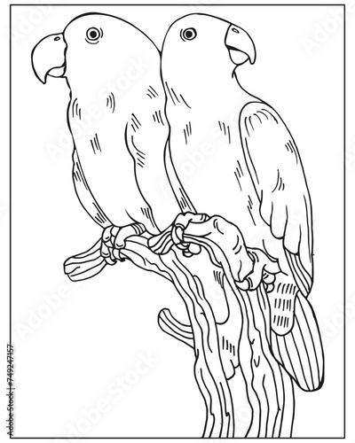 Coloring book for children and adults, parrot bird on a background of tropical leaves. Illustration, sketch, vector