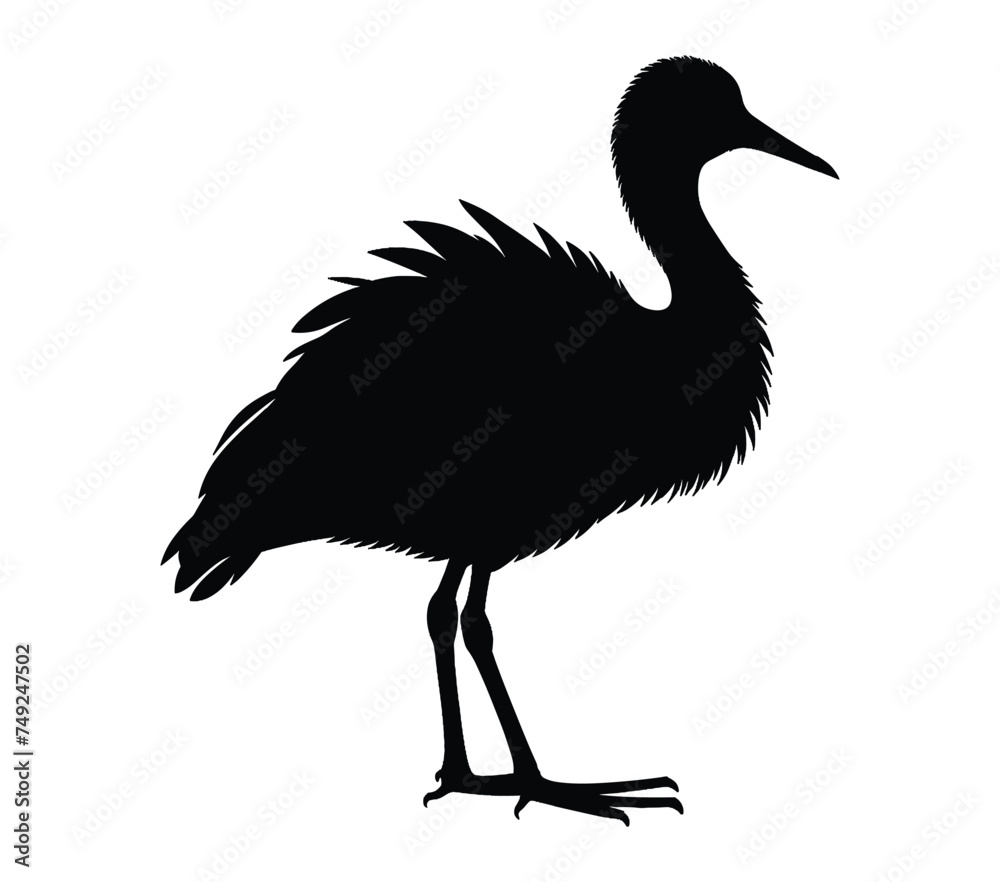 Black and White African Jacana Silhouette. Vector Illustration.