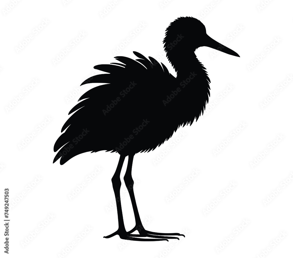 Obraz premium African Jacana silhouette icon. Vector image.