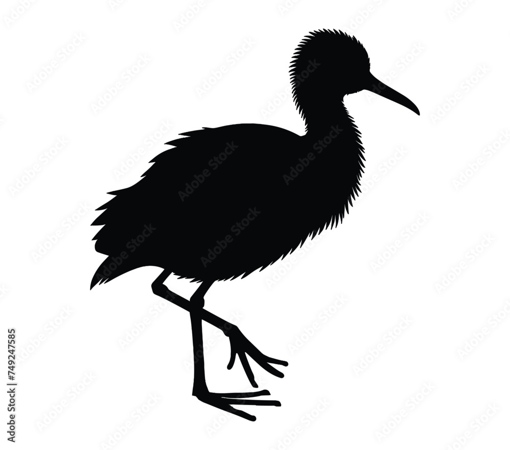 Fototapeta premium African Jacana vector illustration design art.