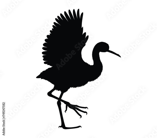 African Jacana Silhouette Stock Vector Illustration.