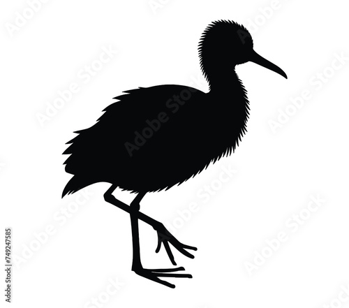 African Jacana vector illustration design art.