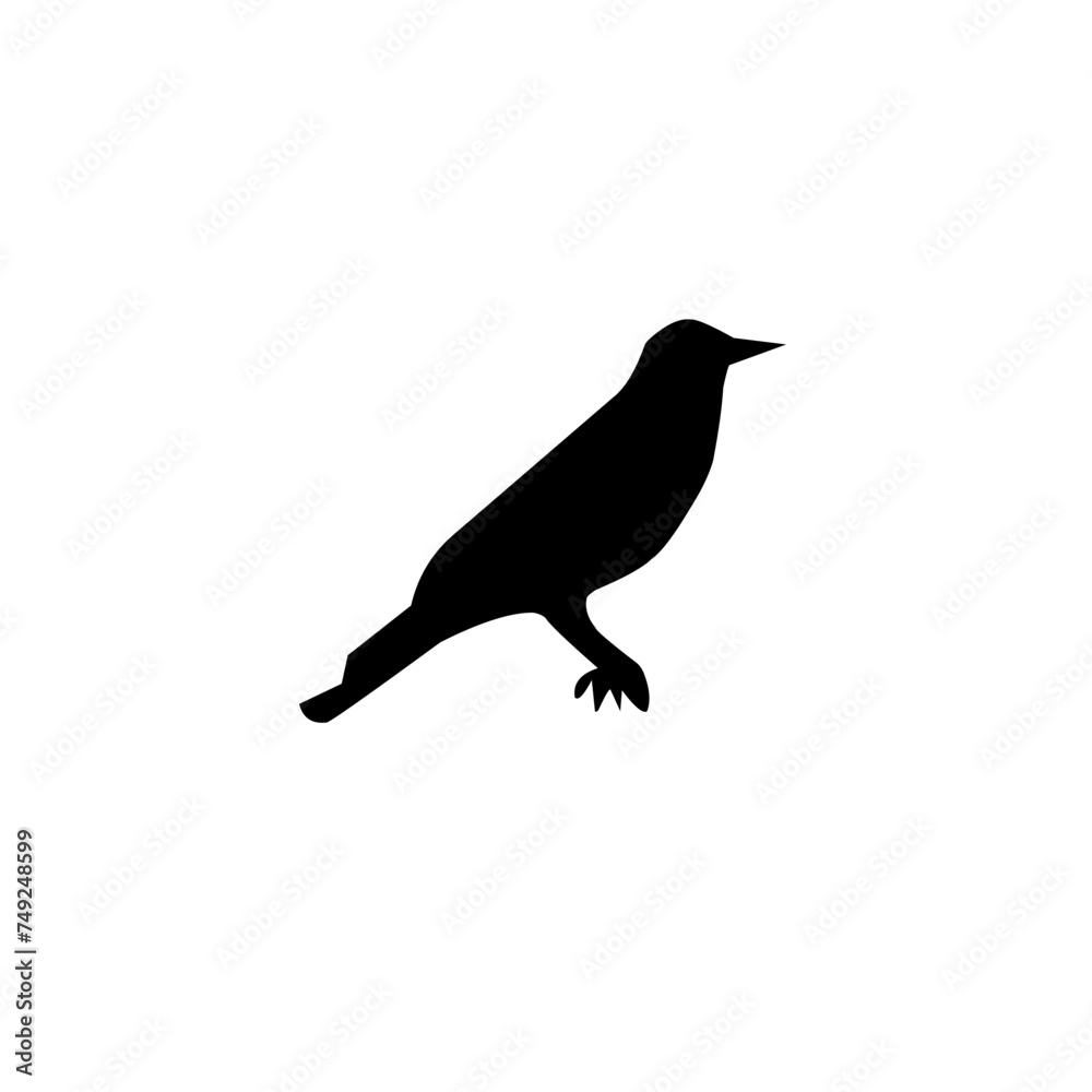 Fototapeta premium Bird Silhouette