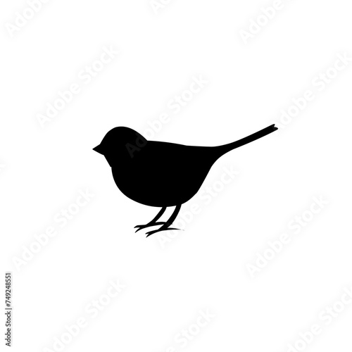 Bird Silhouette