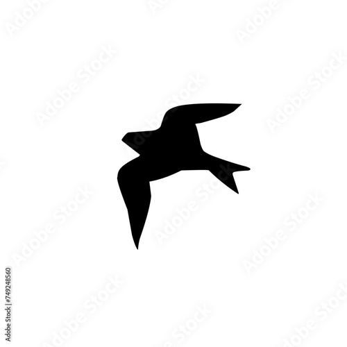 Bird Silhouette