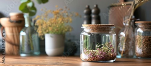 A wooden table is featured with various jars filled with lush green plants. The plants are neatly arranged in the stylish glass containers with cork lids  adding a touch of natural decor to the