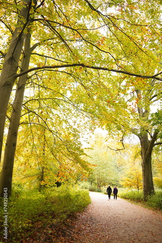 Canvas Print Vibrant and tranquil nature in Denmark