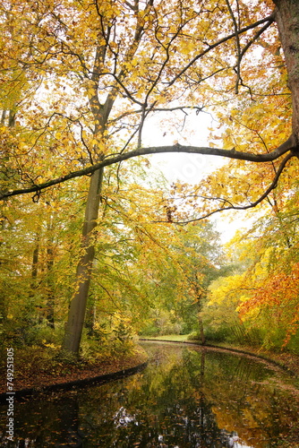 Photography Vibrant and tranquil nature in Denmark