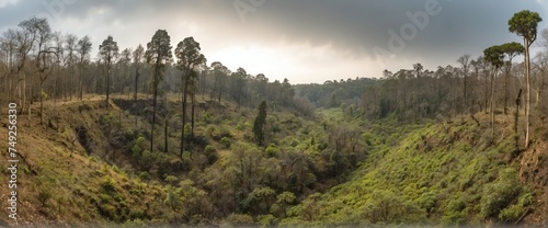 Wide angle panoramic view of pre historic deep jungle forest at winter from Generative AI