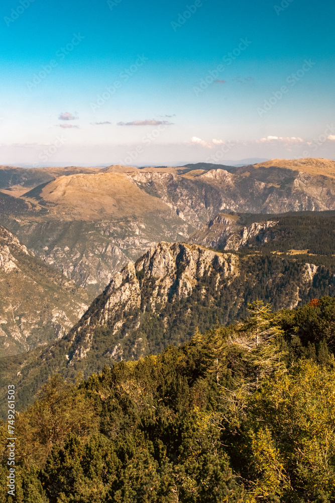 Huge canyon with lots of forest, meadows and cliffs, river Tara canyon, Montenegro