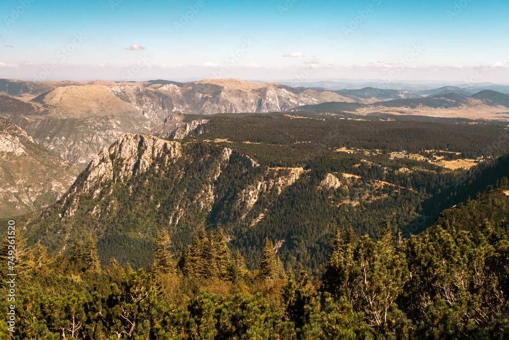 Fototapeta premium Huge canyon with lots of forest, meadows and cliffs, river Tara canyon, Montenegro