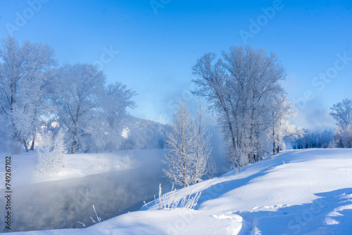 Winter landscape with a river and trees in hoarfrost on a sunny day © Vitaliy