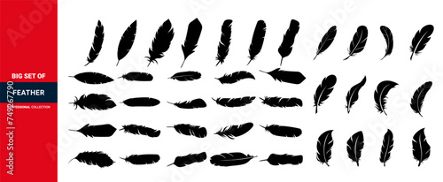 bird feather set of icons, plumelet collection,