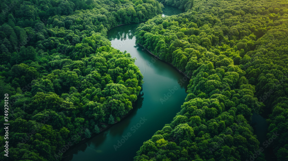 Aerial view of a winding river cutting through a dense green forest, with sunlight casting a glow over the treetops, showcasing the natural beauty and tranquility of the landscape. Aerial view of a winding river cutting through a dense green forest, with sunlight casting a glow over the treetops, showcasing the natural beauty and tranquility of the landscape.