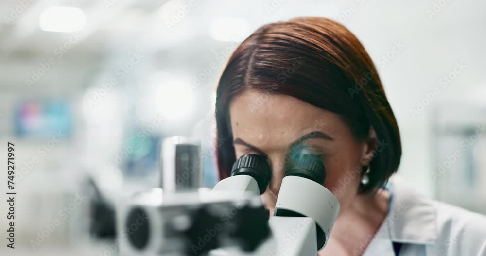 Woman, scientist and forensic with microscope for science, microbiology or research at laboratory. Closeup of person or researcher looking in scope or lens for scientific breakthrough or discovery