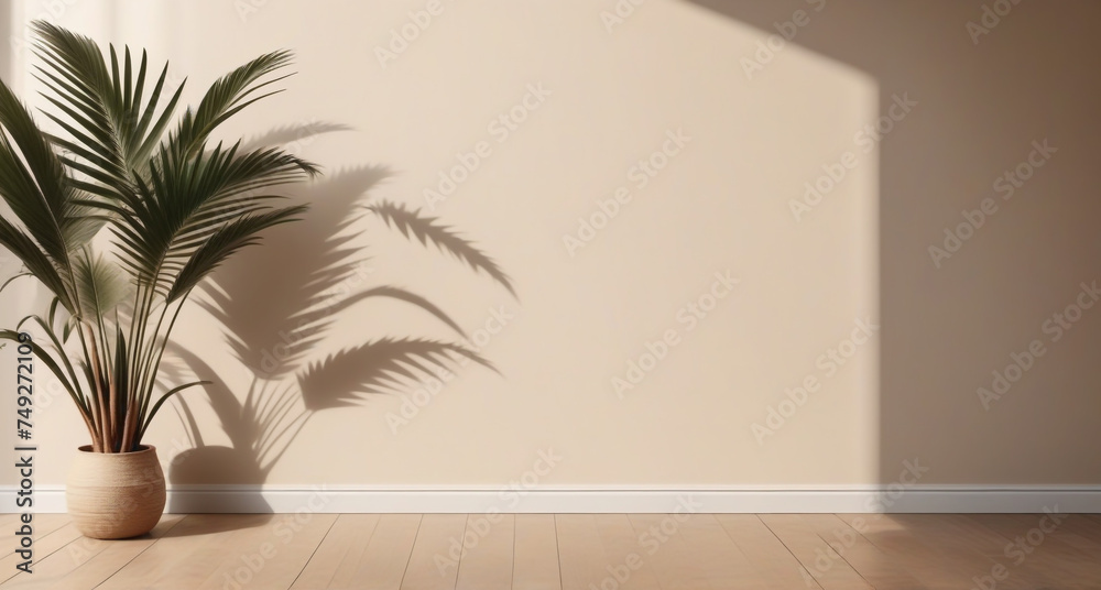 plant in a vase plant in a vase