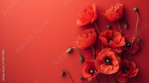 Poppy flowers top view, summer background, free space