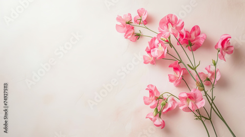 Spring flowers top view, floral background, free space