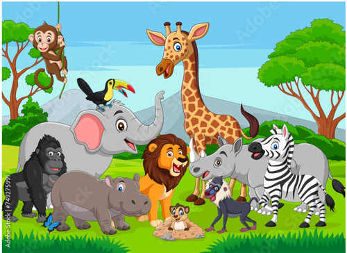 animals in the jungle