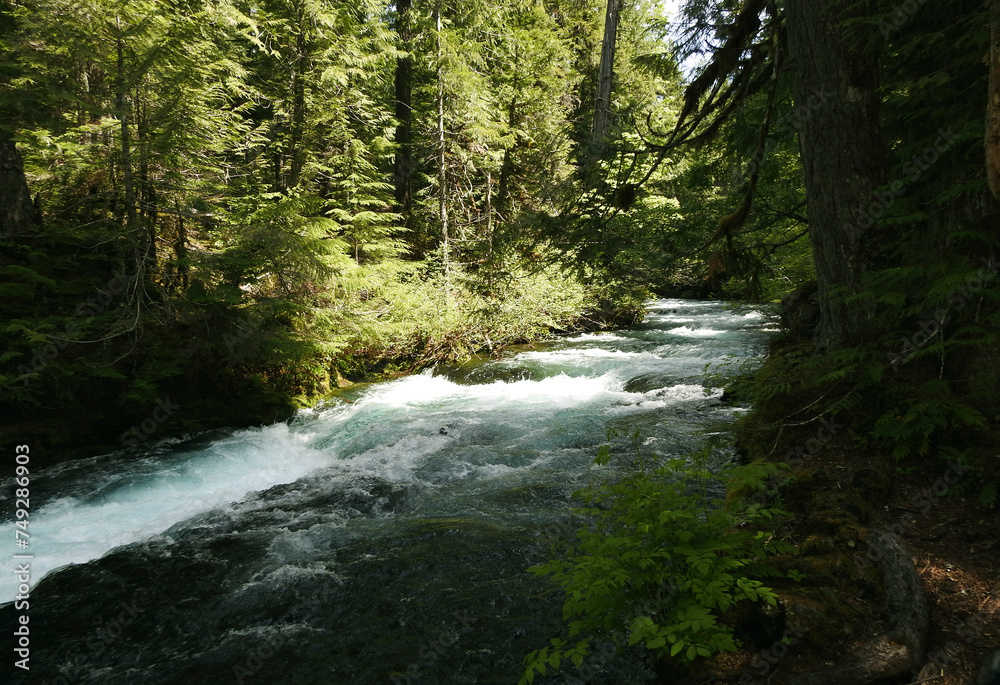 Sahaly Falls, Columbia River Gorge Scenic Area, Oregon, United States Sahaly Falls, Columbia River Gorge Scenic Area, Oregon, United States