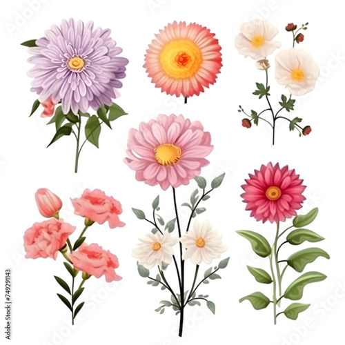 PNG Set of floral branch watercolor elements © MdNajmul