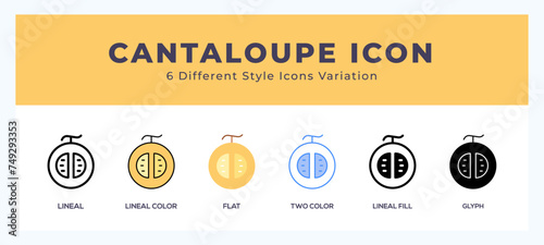 Cantaloupe icon vector design illustration in trendy style photo