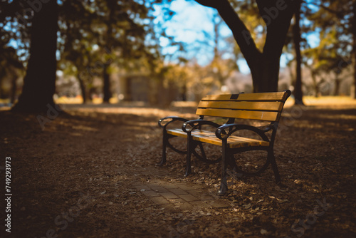 公園のベンチ © Manabu Watanabe