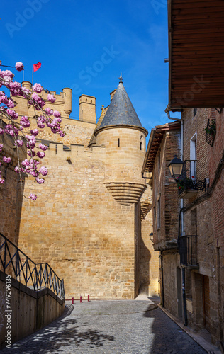 Olite Castle, also known as the Palace of the Kings of Navarre, in Navarre, Spain. This medieval castle-palace was one of the seats of the Court of the Kingdom of Navarre, and is considered one of the