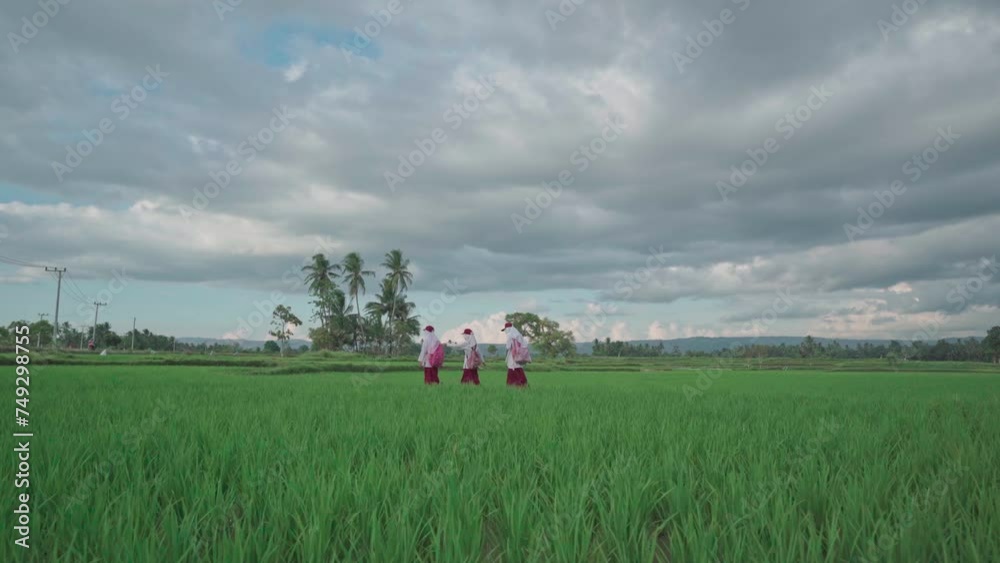Children walk to school through the rice fields Children walk to school through the rice fields