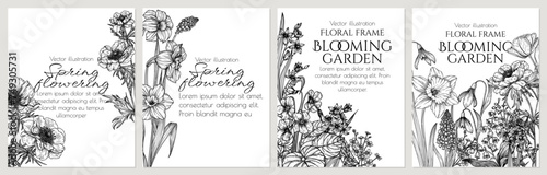 Vector set of 4 cards with spring flowers in engraving style. Brunnera, tulips, muscari, daffodil, lily of the valley, anemone, scilla, viola
