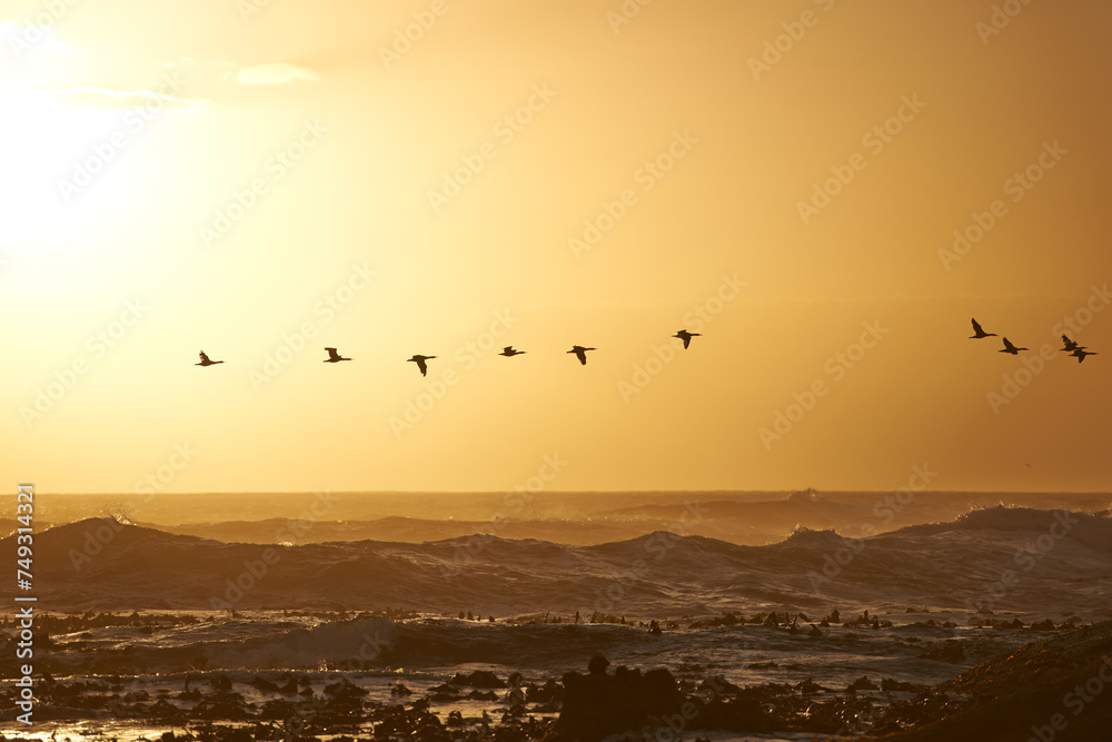 Sunrise landscape, waves and birds flying over ocean rocks, clouds and golden sky in beach. Morning, scenic view and sunshine in island or sea with stones, summer or winter and environment for peace