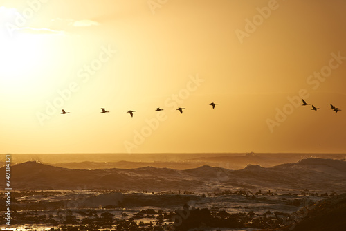 Sunrise landscape, waves and birds flying over ocean rocks, clouds and golden sky in beach. Morning, scenic view and sunshine in island or sea with stones, summer or winter and environment for peace