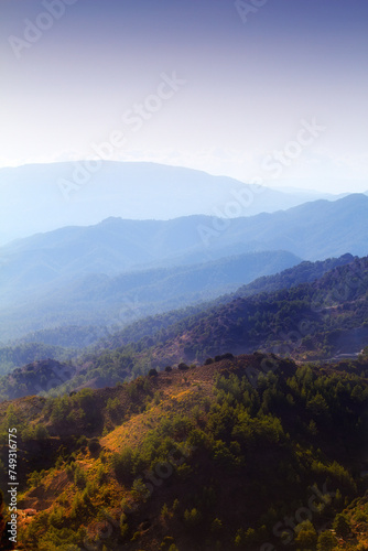 Mountain, fog and natural landscape with bush, cloudy sky and calm hill for travel location. Nature, morning and sustainable environment with earth, peace and holiday destination with conservation © SteenoWac/peopleimages.com