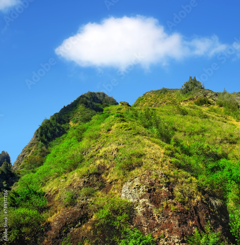 Mountain, forest and natural landscape with blue sky, summer and calm clouds on peak at travel location. Nature, cliff and sustainable environment with earth, Hawaii and tropical holiday destination