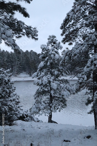 Kaibab Lake, Arizona