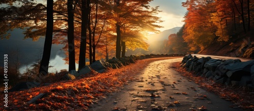 Road in beautiful autumn forest mountains at sunset