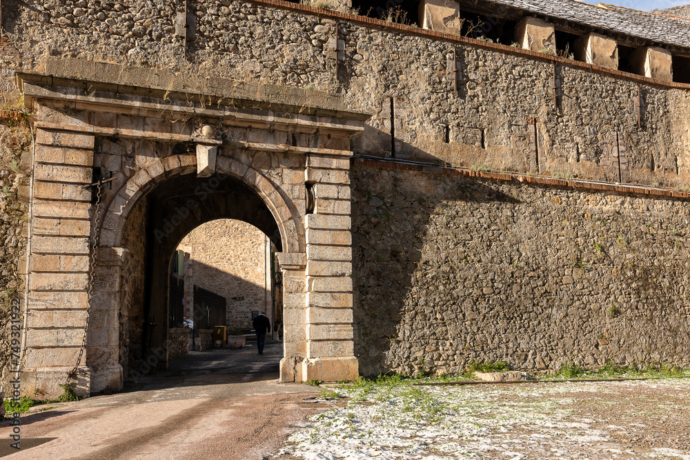 Obraz premium the gate of the castle
