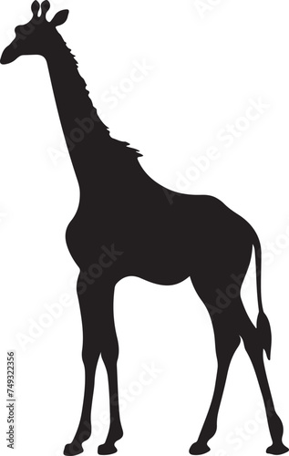 Giraffee Silhouette Vector Illustration White Background