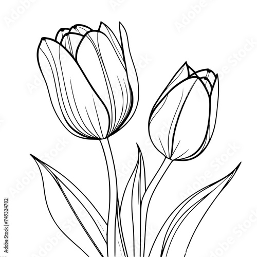 Two tulips single line vector drawing, minimalistic black linear sketch isolated on white background